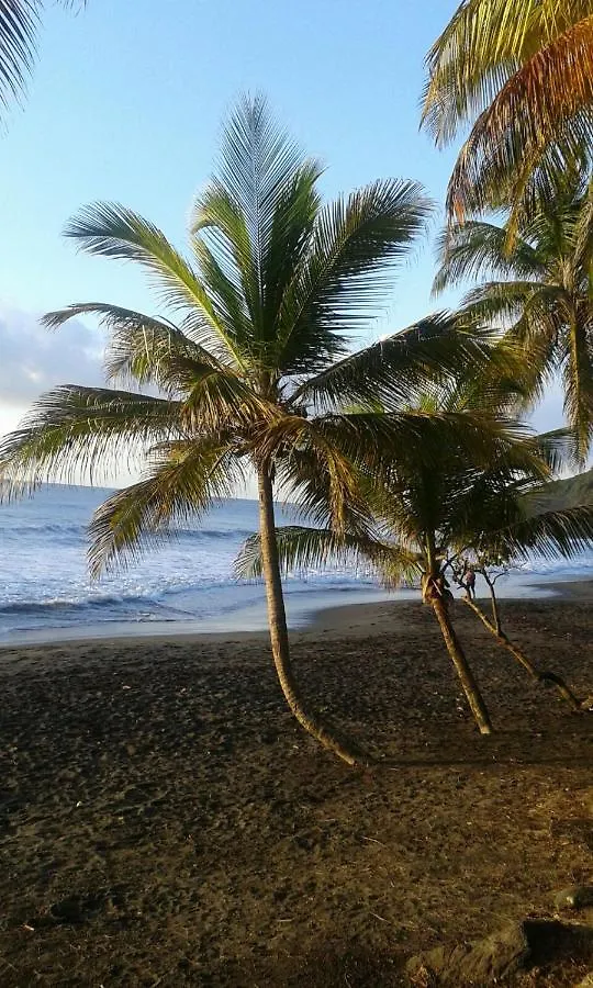 Lodge Maison De La Plage Trois-Rivieres Guadeloupe
