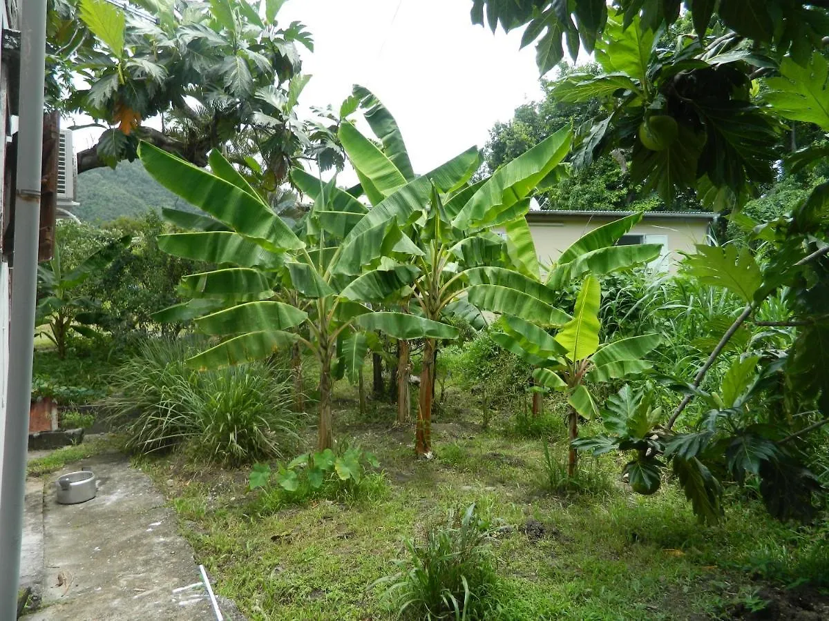 Lodge Maison De La Plage Trois-Rivieres Guadeloupe